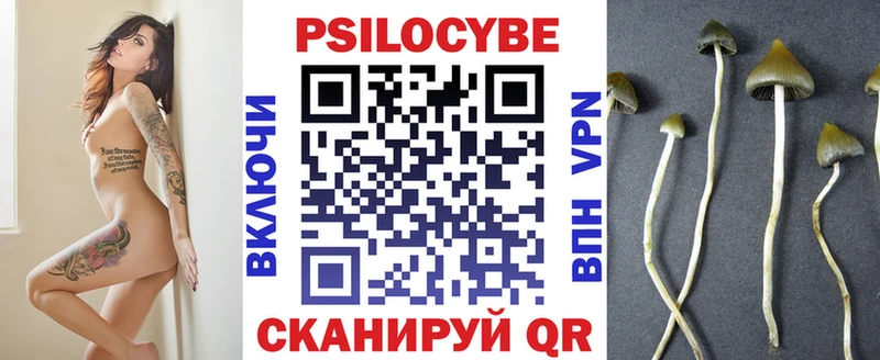 Псилоцибиновые грибы прущие грибы  Кимры 